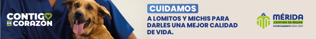 Publicidad